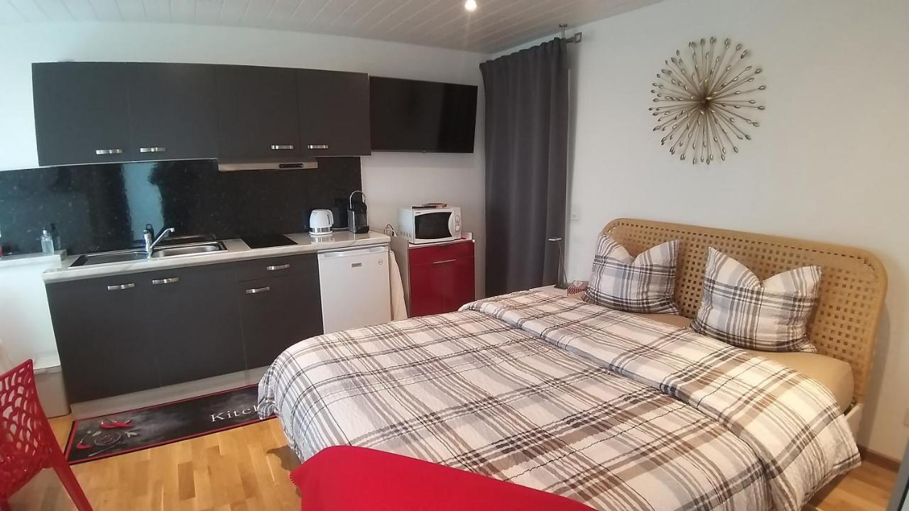 Beau Studio Avec Terrasse Et Vue Exclusivement Pour Non Fumeurs Belmont-sur-Lausanne ภายนอก รูปภาพ