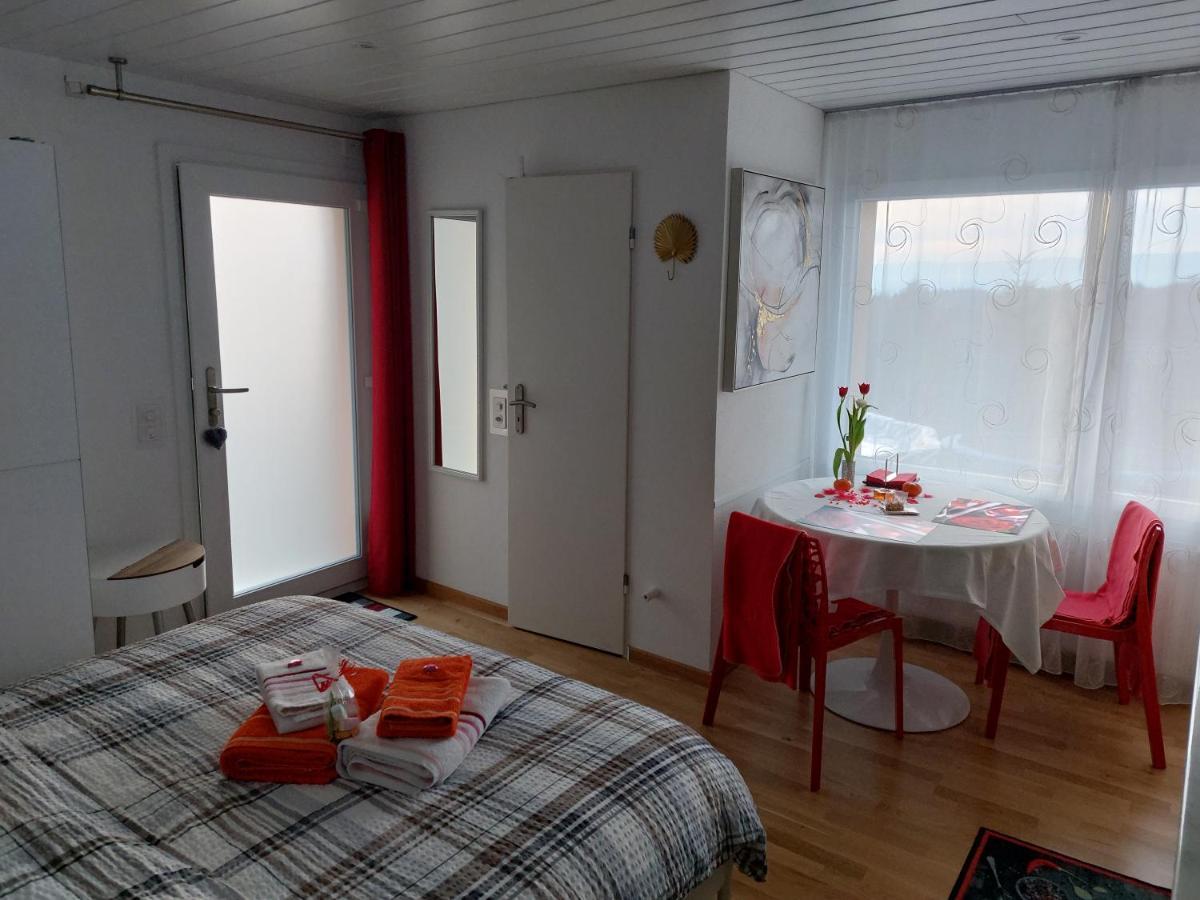 Beau Studio Avec Terrasse Et Vue Exclusivement Pour Non Fumeurs Belmont-sur-Lausanne ภายนอก รูปภาพ